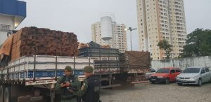 Imagem da notícia - Batalhão Ambiental apreendeu volume de madeira igual a 200 árvores
