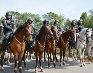 Cavalaria da PM inaugura pista Centauro de Maneabilidade a Cavalo - SSP