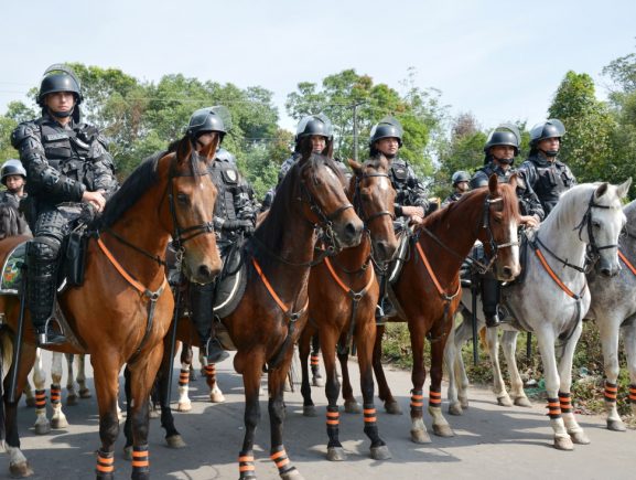 Cavalaria da PM inaugura pista Centauro de Maneabilidade a Cavalo - SSP