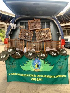 Imagem da notícia - Batalhão de Policiamento Ambiental apreende seis pássaros silvestres