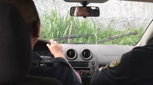 Imagem da notícia - Polícia Militar prepara policiais para pilotagem de alto desempenho