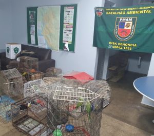 Imagem da notícia - Polícia Militar desativa cativeiro e apreende mais de cem animais