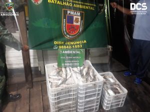 Imagem da notícia - Polícia Militar apreende pescado ilegal na feira da Panair