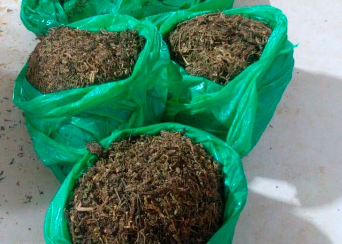 As ocorrências foram registradas nos municípios de Maués, Parintins, Apuí, Ipixuna, Benjamin Constant, Humaitá e Canatuma.