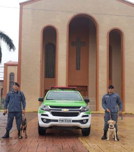 Imagem da notícia - Polícia Militar captura foragido e prende três infratores no interior