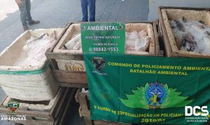 Imagem da notícia - Polícia Militar apreende pescado ilegal na Feira da Panair