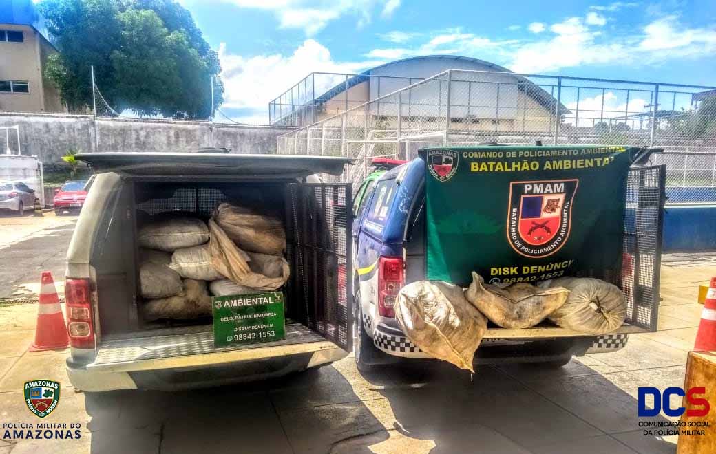 PM aprende 1 tonelada de pirarucu e três quelônios no Porto de Manaus.