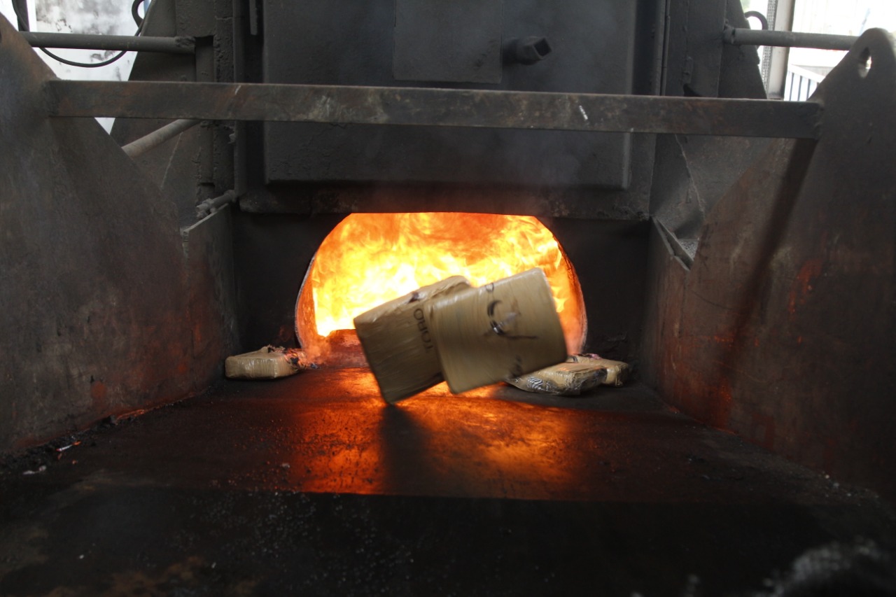 Polícia Civil incinera mais de uma tonelada e meia de maconha.
