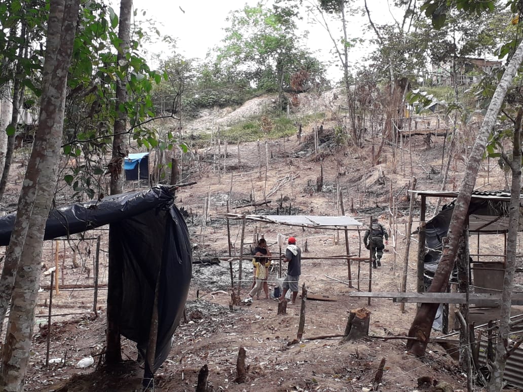 Quatro pessoas são presas por crime ambiental na zona norte. 