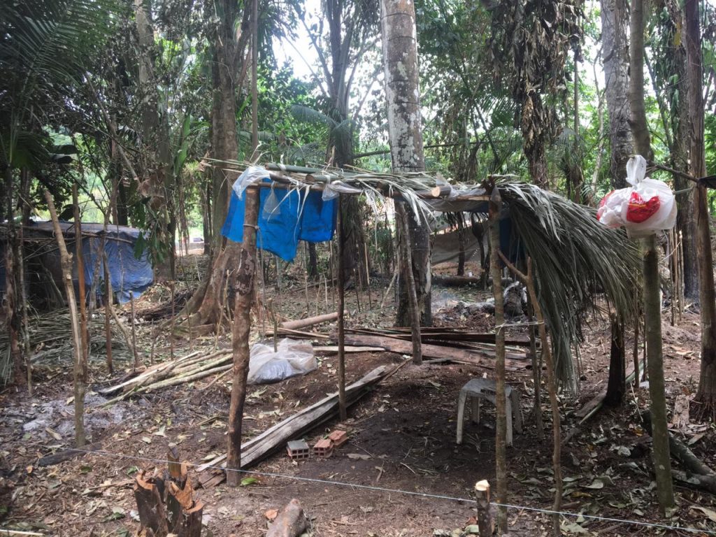Quatro pessoas são presas por crime ambiental na zona norte.