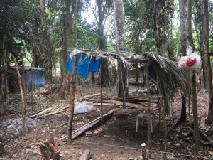 Imagem da notícia - Quatro pessoas são presas por crime ambiental na zona norte