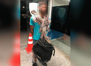 Imagem da notícia - Suspeito de furto é preso no bairro Santo Agostinho