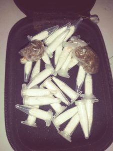 Imagem da notícia - Polícia Militar detém suspeito de tráfico de drogas no Centro