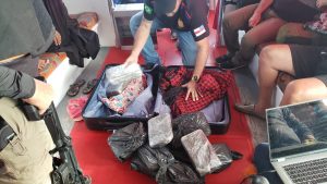 Imagem da notícia - Polícia Civil apreende 14 quilos de skunk em embarcação vinda de Tefé