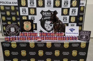 Imagem da notícia - PC apreende cerca de 30 quilos de entorpecentes em embarcação