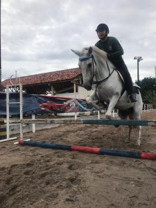Imagem da notícia - Polícia Militar amplia atendimento no Núcleo de Equoterapia