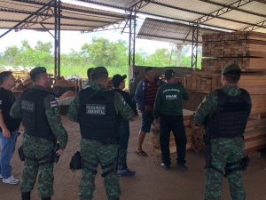 Imagem da notícia - Ação resulta em interdição de madeireira e apreensão de maquinário