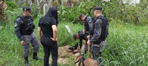 Imagem da notícia - Cadela Fiona da Polícia Militar ajuda nas buscas de criança desparecida