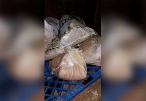 Imagem da notícia - PM apreende 989 quilos de pirarucu seco em embarcação em Maraã