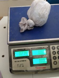 Imagem da notícia - PM apreende entorpecentes no município de Nhamundá