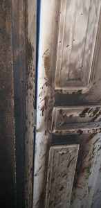 Imagem da notícia - Policiais militares do 3º BPM detêm suspeito de incêndio criminoso em Tefé