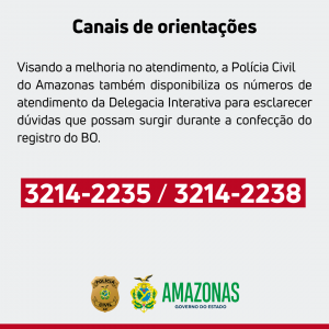 Imagem da notícia - Delegacia Interativa registra aumento de mais de 20% de Boletins de Ocorrência