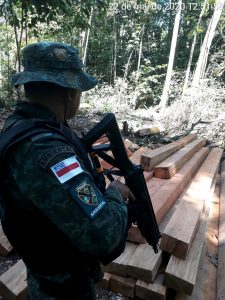 Imagem da notícia - Ação desarticula grupo criminoso responsável por desmatamento ilegal