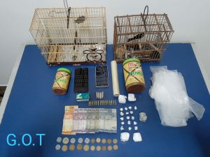 Imagem da notícia - Polícia Civil prende três pessoas e apreende drogas, munições e resgata animais silvestres