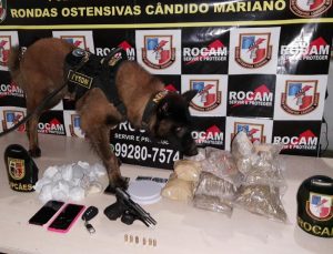 Imagem da notícia - Rocam detém mulher com arma de fogo e entorpecentes na zona norte