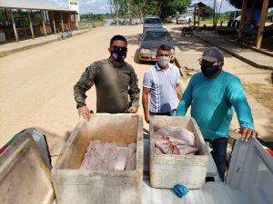 Imagem da notícia - Polícia Civil apreende carne ilegal de animais silvestres e pirarucu em Eirunepé