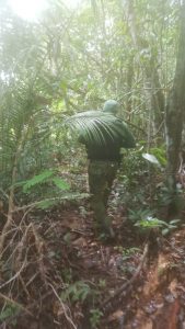 Imagem da notícia - Seap reforça segurança externa das unidades prisionais de Manaus