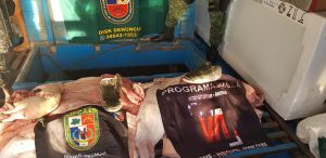 Imagem da notícia - PM apreende embarcações transportando pescado ilegal e combustível