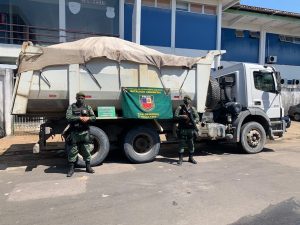 Imagem da notícia - Policiais militares detêm dois homens por crime ambiental