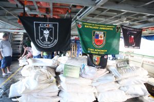 Imagem da notícia - PM apreende cinco toneladas de pescado ilegal no rio Solimões