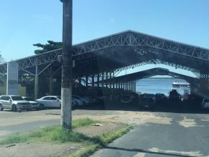 Imagem da notícia - Polícia Militar detém homem por crime ambiental na zona leste