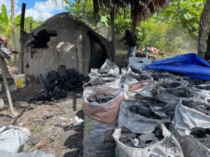 Imagem da notícia - PC prende três irmãos e desmonta carvoeiras em São Gabriel da Cachoeira