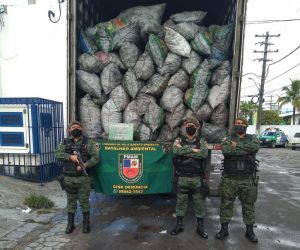 Imagem da notícia - Policiais do Batalhão de Policiamento Ambiental apreendem 420 sacos de 20kg de carvão vegetal ilegal