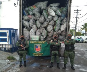 Imagem da notícia - Policiais do Batalhão de Policiamento Ambiental apreendem 420 sacos de 20kg de carvão vegetal ilegal