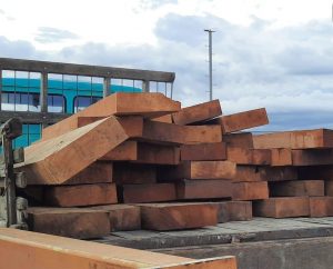 Imagem da notícia - Polícia Civil apreende madeira e prende homem em Codajás