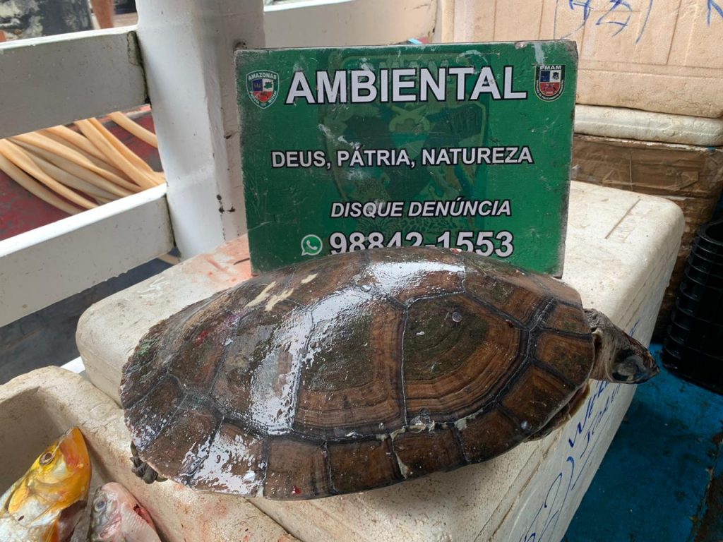 A ação contou com a participação da Companhia Independente de Policiamento com Cães (CIPcães). Fotos: Divulgação/PMAM