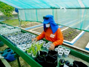 Imagem da notícia - Penitenciária Feminina tem 75,47% das detentas inseridas no programa “Trabalhando a Liberdade”