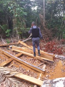 Imagem da notícia - Polícia Militar prende homem acusado de crime ambiental