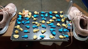 Imagem da notícia - Polícia Militar detém homens por tráfico de drogas em Ipixuna