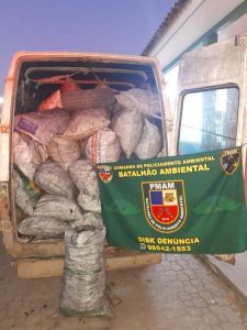 Imagem da notícia - Batalhão de Policiamento Ambiental apreende carvão ilegal na AM-010