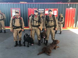 Imagem da notícia - Governo do AM desencadeia operação de combate às queimadas urbanas