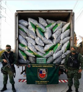 Imagem da notícia - Batalhão Ambiental apreende mais de sete toneladas de carvão vegetal ilegal