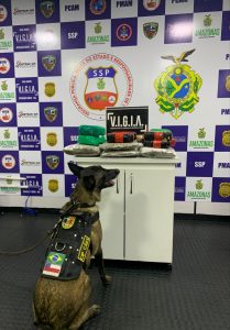 Imagem da notícia - Homem é preso com quase 20 quilos de drogas em embarcação