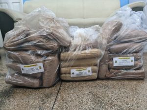 Imagem da notícia - Polícia Civil incinera 33 quilos de maconha em Manacapuru