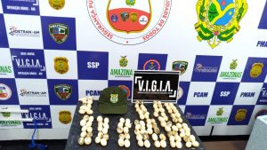 Imagem da notícia - Base Arpão: Homem é multado em R$ 500 mil por ovos de tracajá