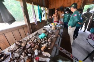 Imagem da notícia - Operação Curuquetê 2 reforça ações de combate ao desmatamento